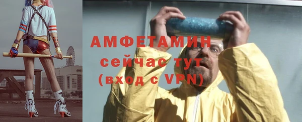 шишки Баксан