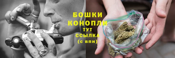 шишки Баксан