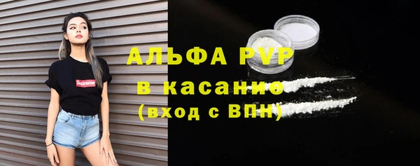 шишки Баксан