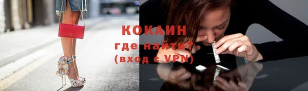 шишки Баксан