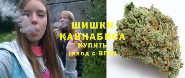 шишки Баксан