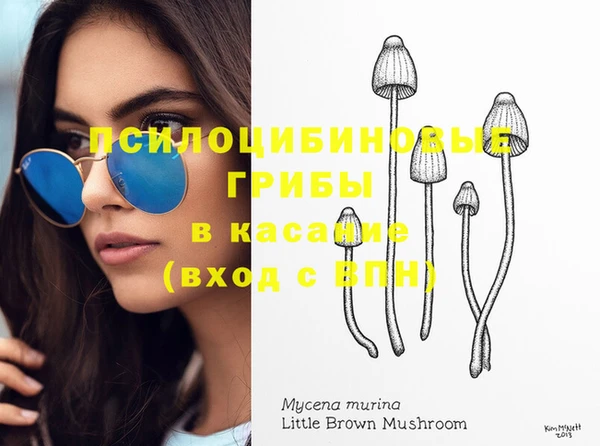 прущая мука Балахна