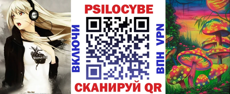 где найти   Зима  Псилоцибиновые грибы Magic Shrooms 
